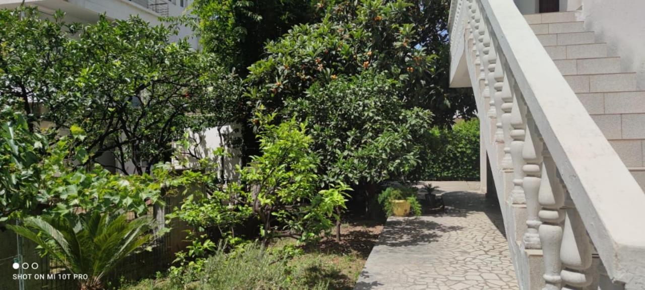 House Irena Hotel Budva Exterior photo